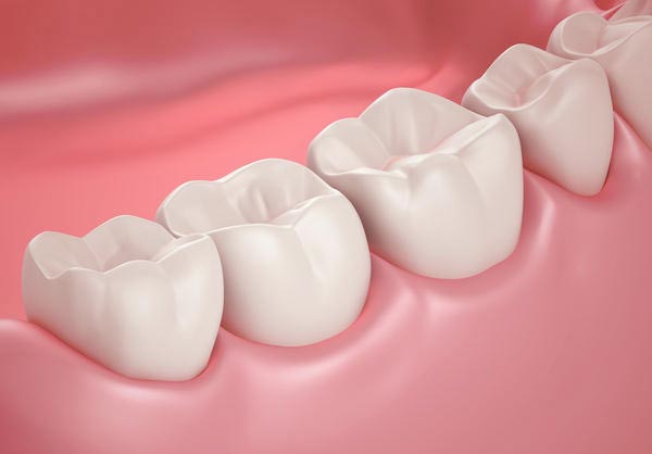 دندان مولر چیست و چه کاربردی دارد