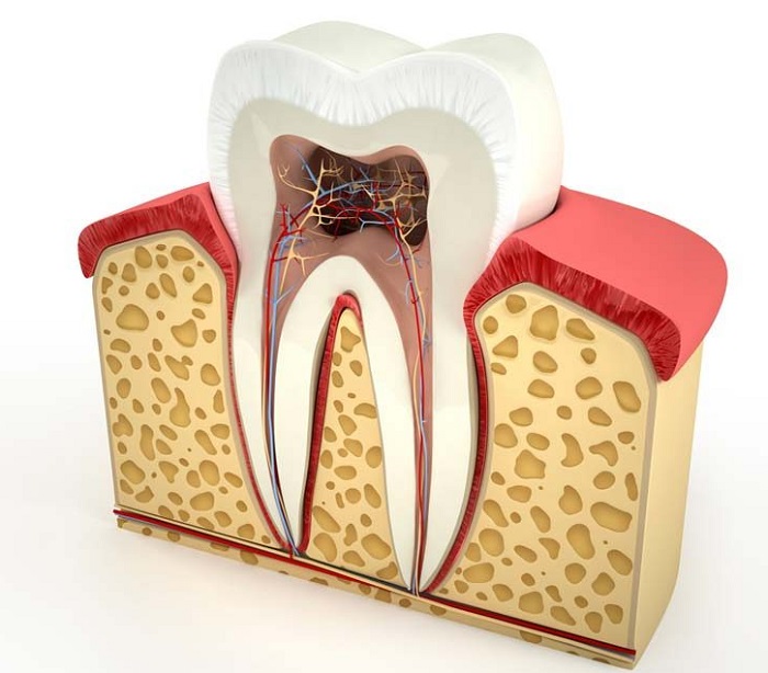 پالپوتومی دندان و روش های آن چگونه است